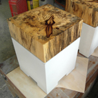 Betonmöbel - Hocker, Holz Tamarinde